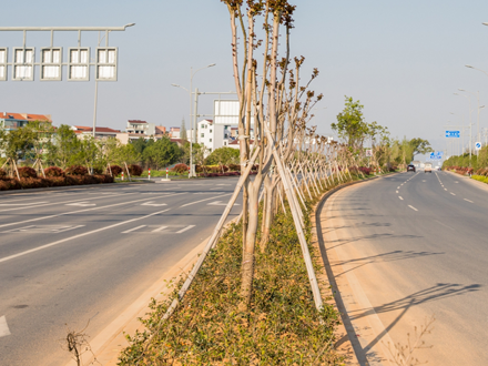 义乌国际生产资料市场配套道路-四季路市政工程